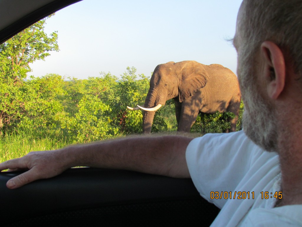 Kruger jan. 2011 – SX30 – I – 087