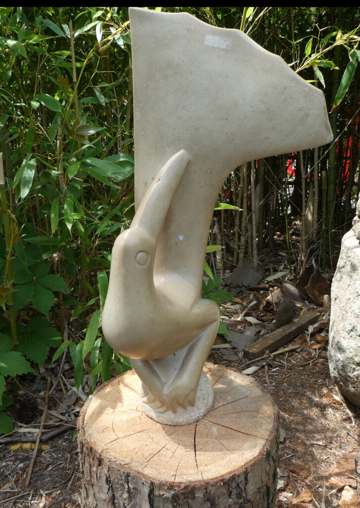 White-Bird